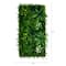 20" x 40" Framed Costa Rican Forest Artificial Living Wall Art Panel